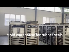 गैर-मानक मोल्ड रबर पार्ट्स सिलिकॉन गैसकेट और सील ऑटोमोबाइल अनुप्रयोग के लिए